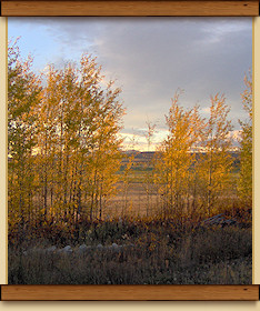 Fall Colors at the Ranch