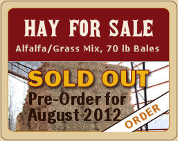 Hay is Sold Out - Preorder for August 2011